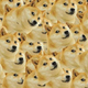 Illustration for article titled Petition to make Doge Meme illegal.